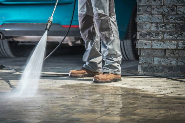 Best Fleet Vehicle Washing  in Oviedo, FL